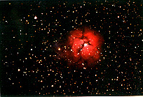 [The Trifid Nebula, M20.]