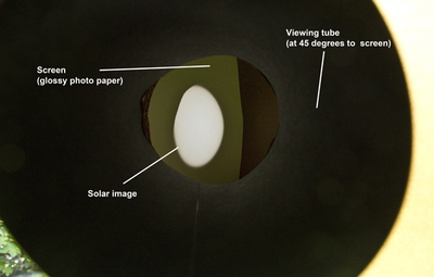 [Solar Telescope Solar Image, No Venus.  The image shown is reduced in size to fit this page.  Click on the image to load a full size image in a new window.]